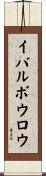 イバルボウロウ Scroll