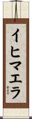 イヒマエラ Scroll
