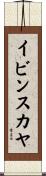 イビンスカヤ Scroll