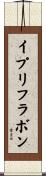 イプリフラボン Scroll