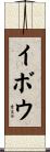 イボウ Scroll