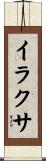 イラクサ Scroll