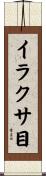 イラクサ目 Scroll
