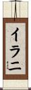 イラニ Scroll