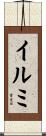 Irmi Scroll