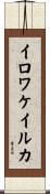 イロワケイルカ Scroll