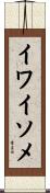 イワイソメ Scroll
