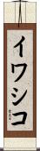 イワシコ Scroll