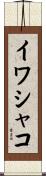 イワシャコ Scroll