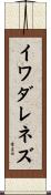 イワダレネズ Scroll