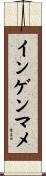 インゲンマメ Scroll