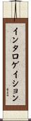 インタロゲイション Scroll