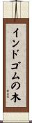 インドゴムの木 Scroll