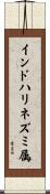 インドハリネズミ属 Scroll