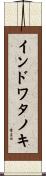 インドワタノキ Scroll