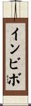 インビボ Scroll