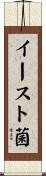 イースト菌 Scroll