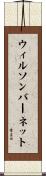ウィルソンバーネット Scroll