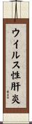 ウイルス性肝炎 Scroll