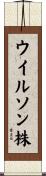 ウイルソン株 Scroll