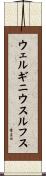 ウェルギニウスルフス Scroll