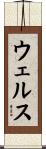ウェルス Scroll