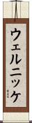 ウェルニッケ Scroll