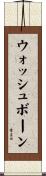 ウォッシュボーン Scroll