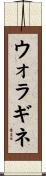 ウォラギネ Scroll