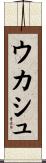 ウカシュ Scroll