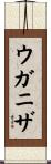 ウガニザ Scroll