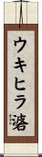 ウキヒラ碆 Scroll