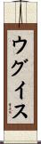 ウグイス Scroll