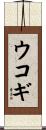ウコギ Scroll