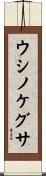 ウシノケグサ Scroll