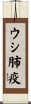 ウシ肺疫 Scroll