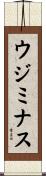 ウジミナス Scroll