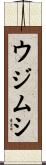 ウジムシ Scroll