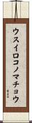 ウスイロコノマチョウ Scroll