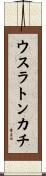 ウスラトンカチ Scroll