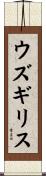 ウズギリス Scroll