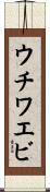 ウチワエビ Scroll