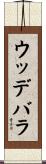 ウッデバラ Scroll