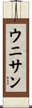 ウニサン Scroll