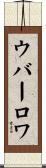 ウバーロワ Scroll