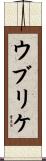 ウブリケ Scroll