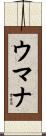 Umana Scroll