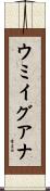 ウミイグアナ Scroll
