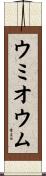 ウミオウム Scroll