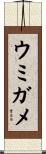 ウミガメ Scroll
